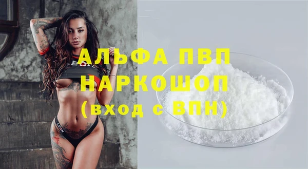 крисы Баксан