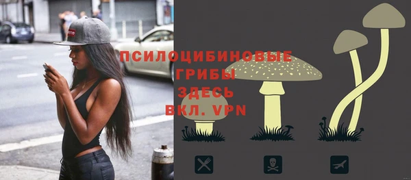 крисы Баксан
