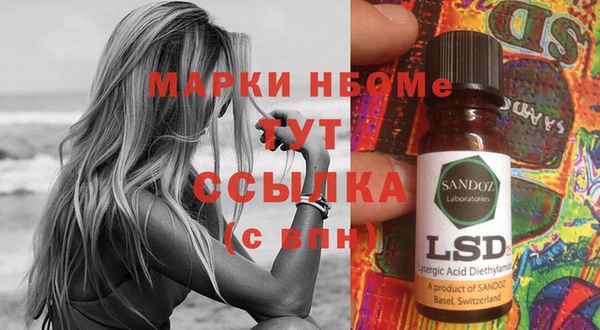 крисы Баксан