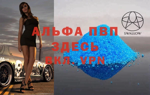 крисы Баксан