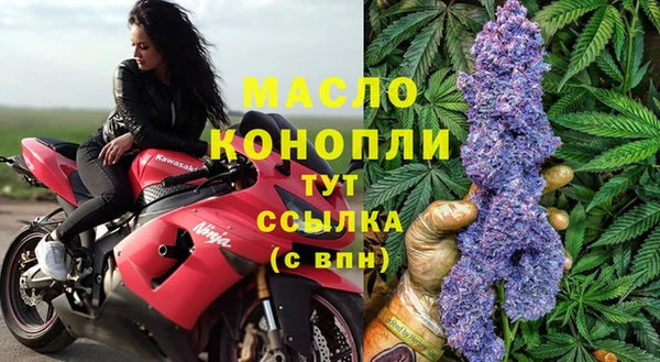 крисы Баксан