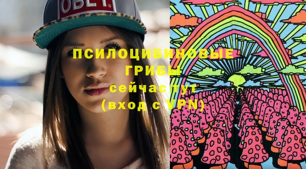 крисы Баксан