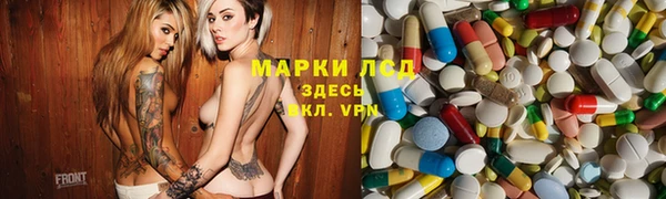 крисы Баксан